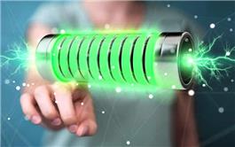 Pin nhiên liệu sinh học lấy cảm hứng từ sự trao đổi chất của con người